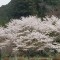 20180402_140439